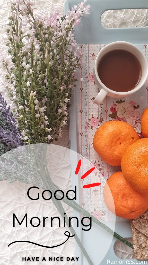 Good morning with a cup of black coffee and four oranges in the tray.