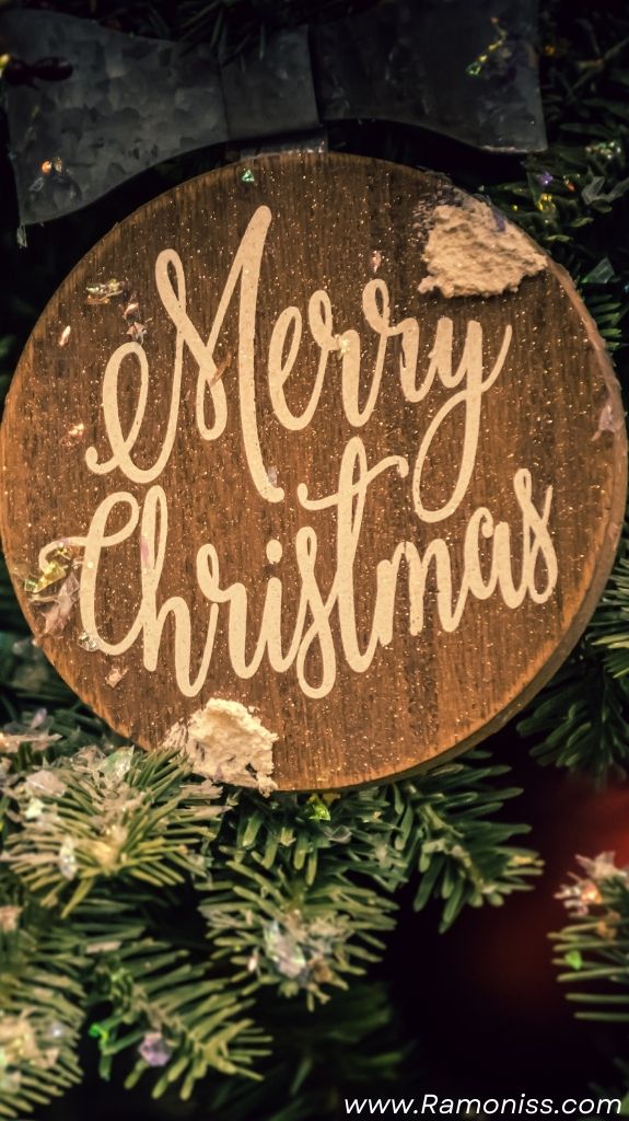 A wooden board hangs on the christmas tree with merry christmas written on it.