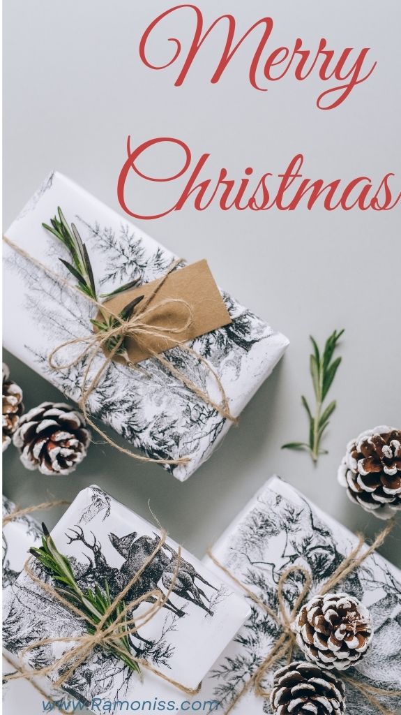 Some packed gifts are placed on a white background, and merry christmas is written in red colored stylish fonts. There are also christmas tree leaves in the photo.