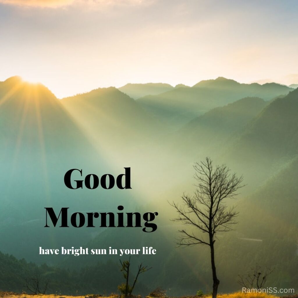 The sun is rising from the mountains and its shining rays are reading on the ground, it is a very beautiful sight of the sun rising. The good morning image has been created using the black color font.