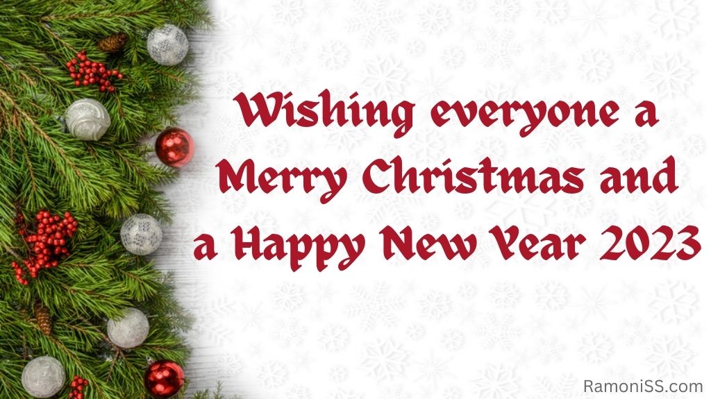 The background of the photo is decorated with white color, christmas tree leaves and christmas balls, and the words "wishing everyone a merry christmas and a happy new year 2023" are written in red stylish font.