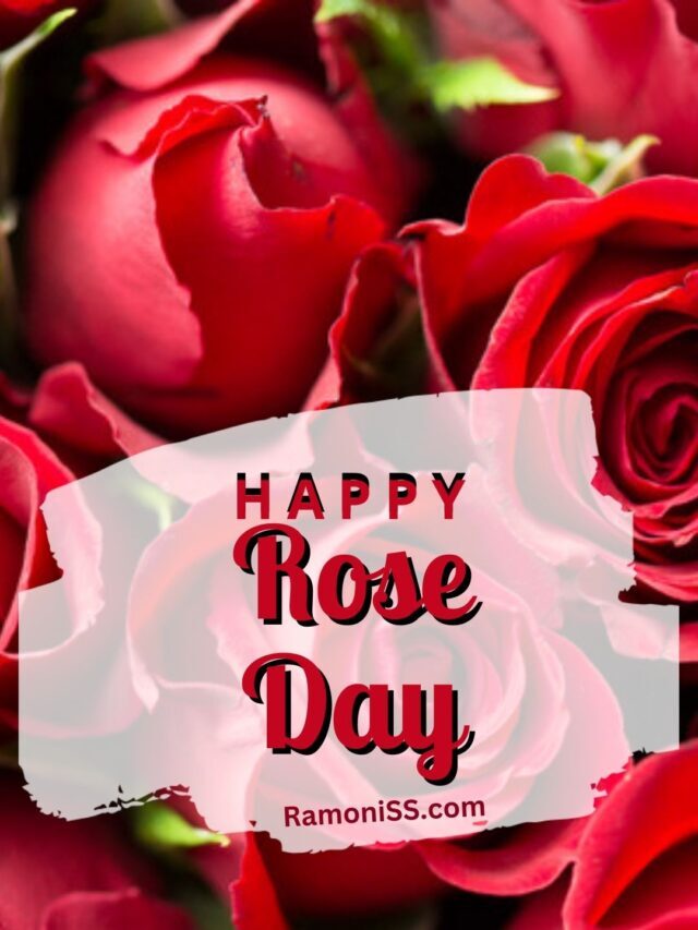 Rose Day Wishes Photos for Girlfriend & Friends | Download Now