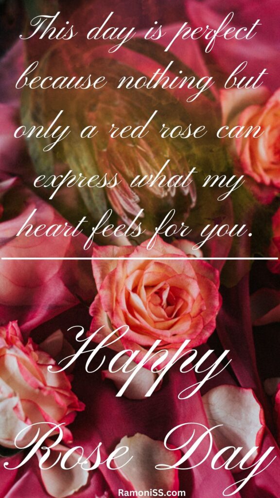 70+ best happy rose day wishes quotes, images, messages