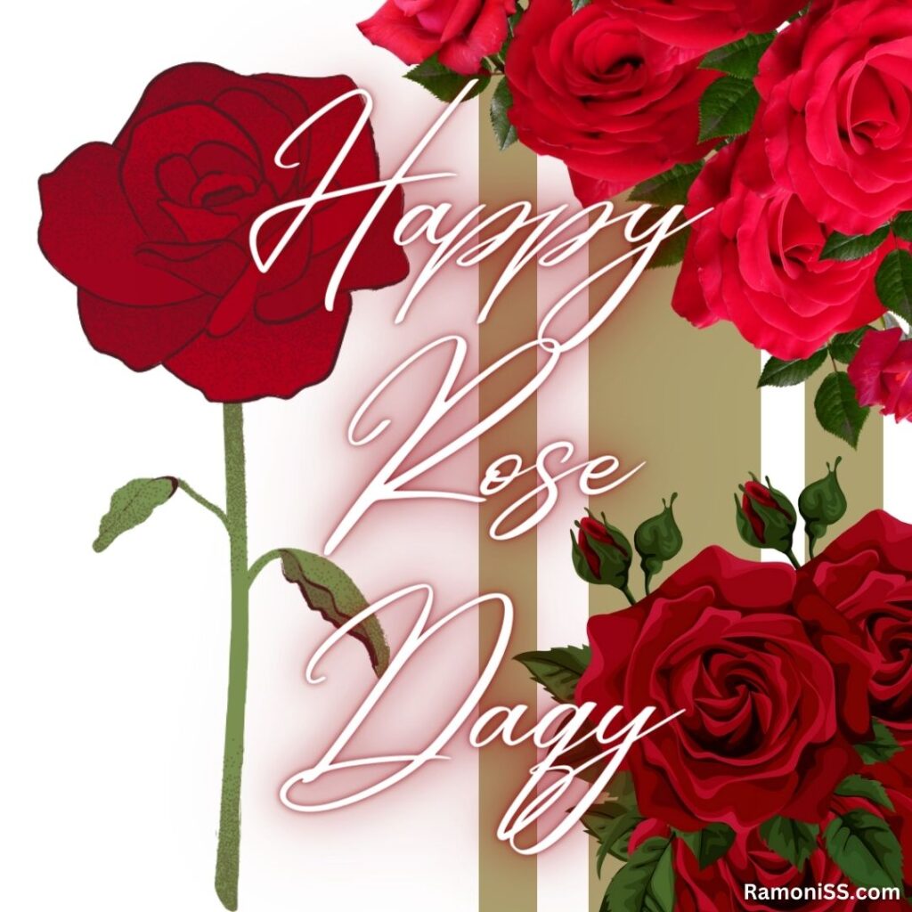 Happy rose day wishes card