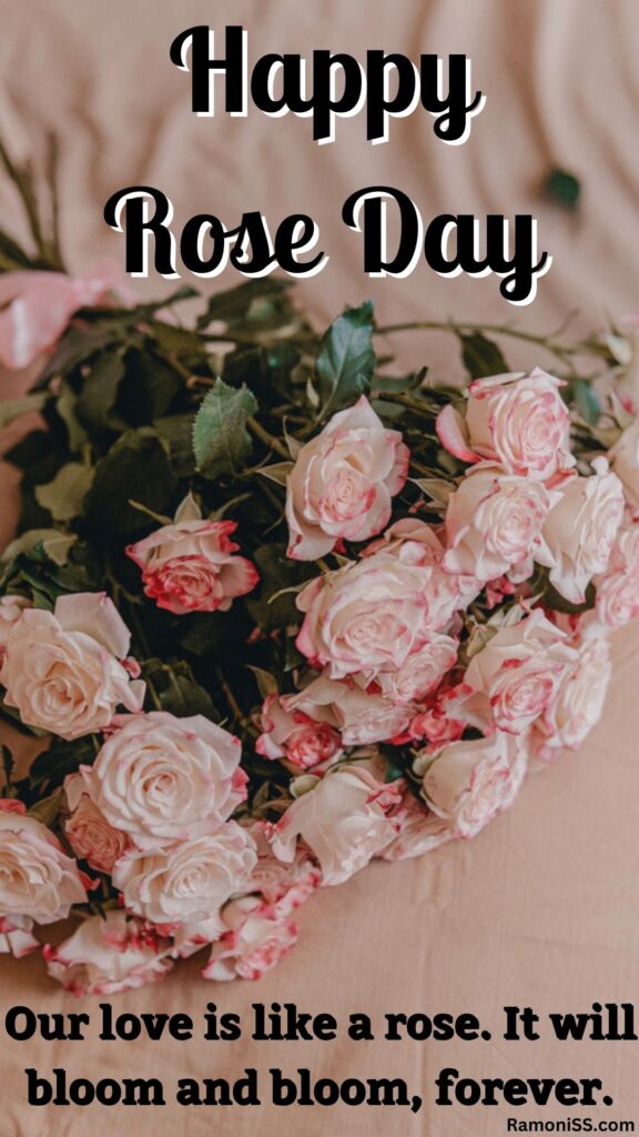 Happy rose day with love wish "our love is like a rose. It will bloom and bloom, forever. "