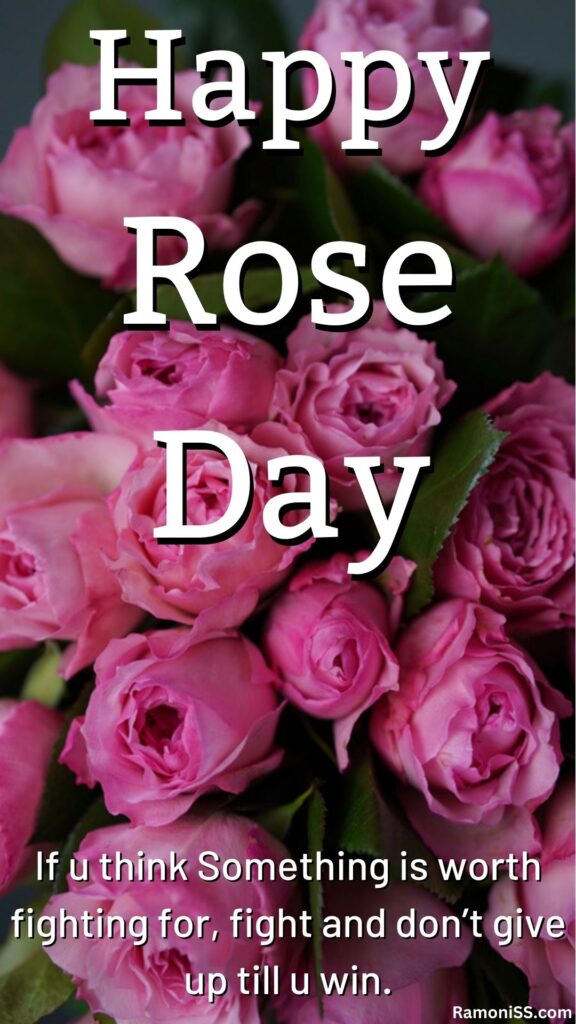 Happy rose day is written on the many roses image, and also written a wish "if u think something is worth fighting for, fight and don’t give up till u win. "
