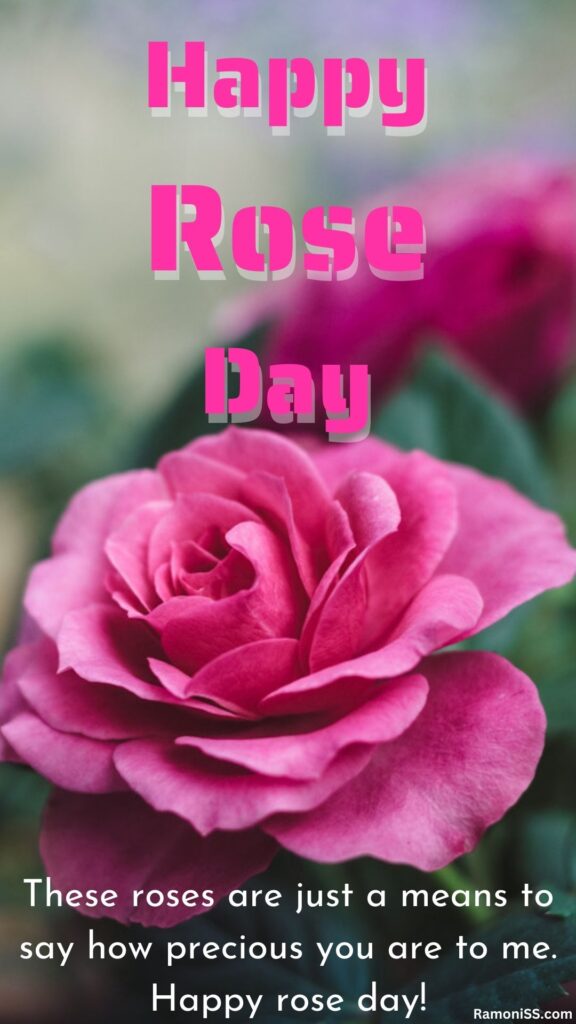 Happy rose day wish "these roses are just a means to say how precious you are to me. Happy rose day! " image