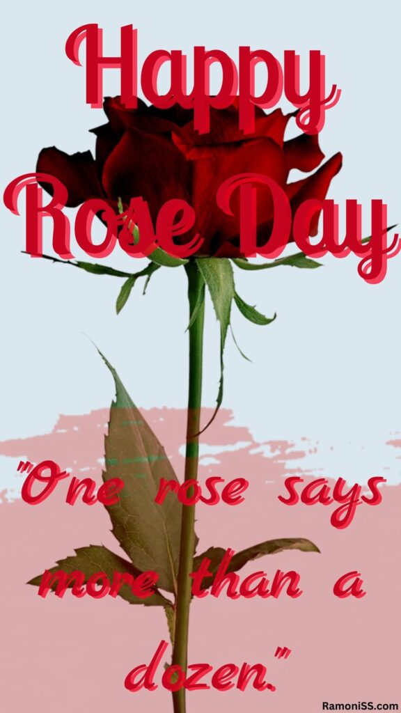 There is a red color rose flower in the photo, happy rose day is written in red color font, and a wish "one rose says more than a dozen. " is also written.