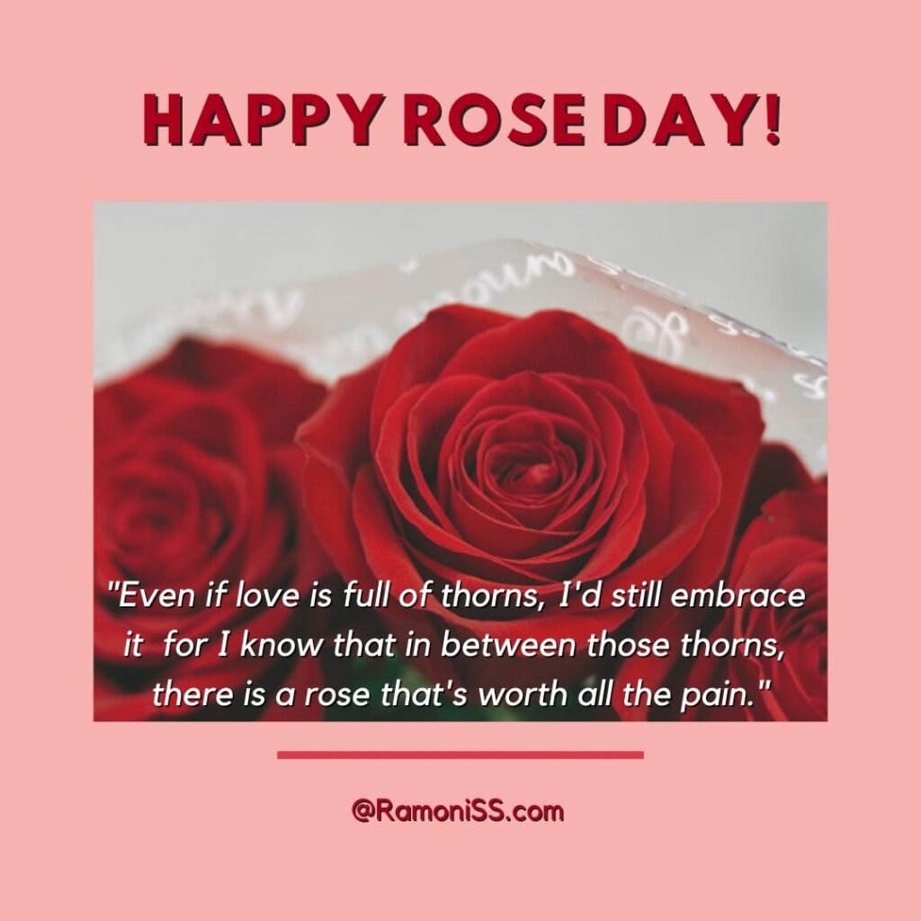 Red rose wish card image with rose day wish.