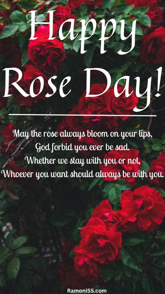 Happy rose day and a wish is written in white font on a background of lots of roses.