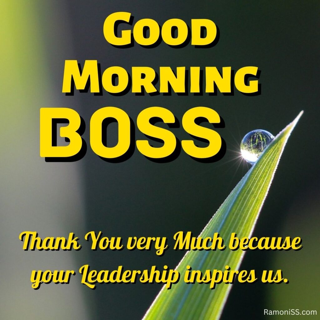 Good morning boss written in the image and in the background of the photo a drop of dew is on a straw of grass.