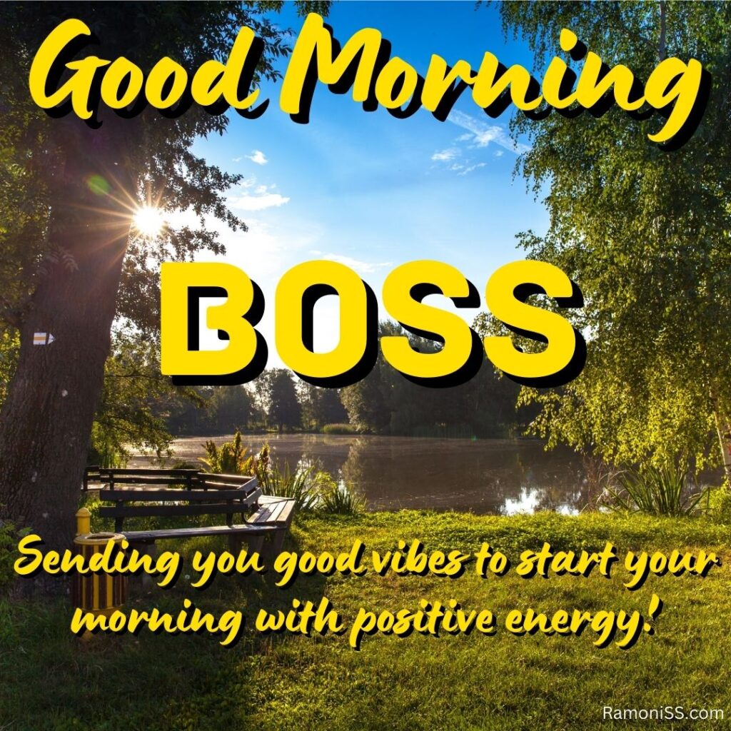Good morning boss is written in the image and the background of the photo is a view of the sun rising by the lake in the woods.