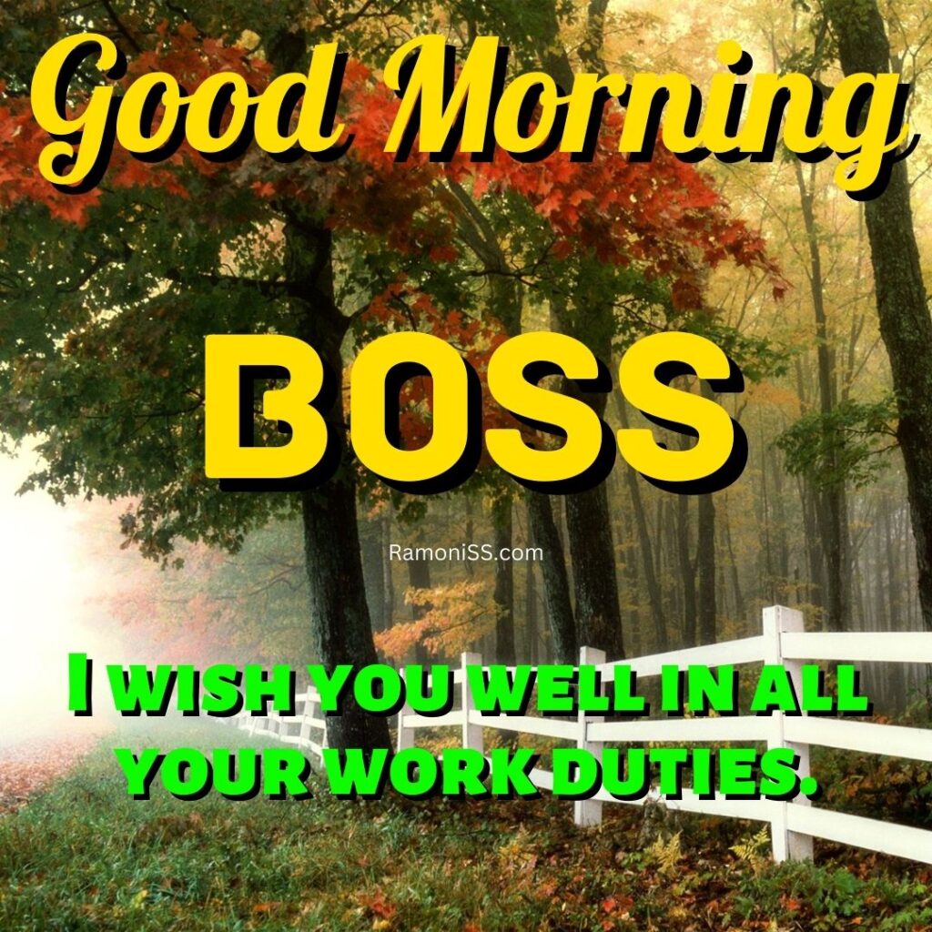 Good morning boss written in the image and in the background of the photo is a view of the forest.