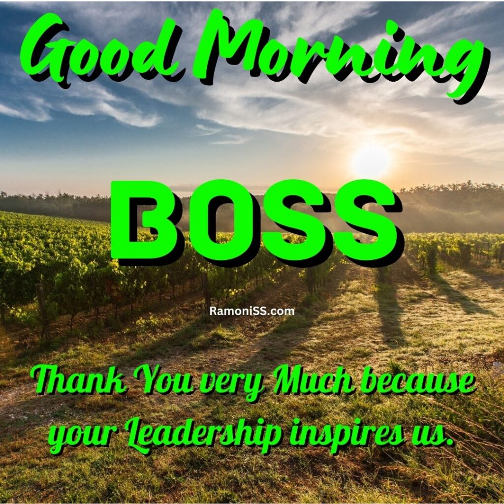 Good morning boss is written in the image and in the background of the photo sunrise view in the woods in the morning.