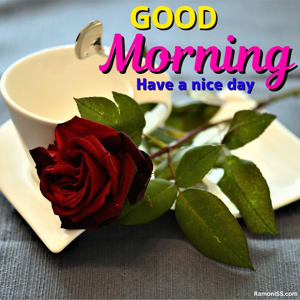 A cup of coffee and a rose flower are placed on a plate on the table good morning whatsapp status