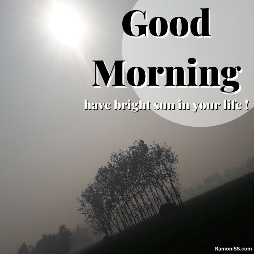 Sunrise and fog in the sky morning farm view good morning whatsapp status image