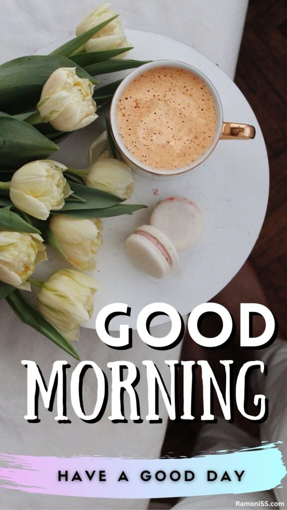 Beautiful roses and a cup of coffee on the plate on the white table good moring whatsapp status
