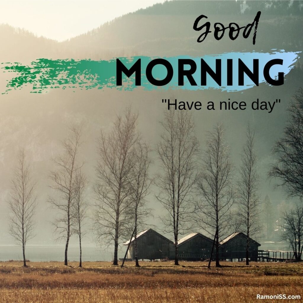 Dry trees, hills, huts fog background view whatsapp good morning status