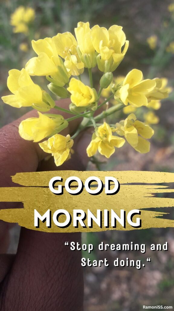 Mustard flower in the hand good morning whatsapp status image
