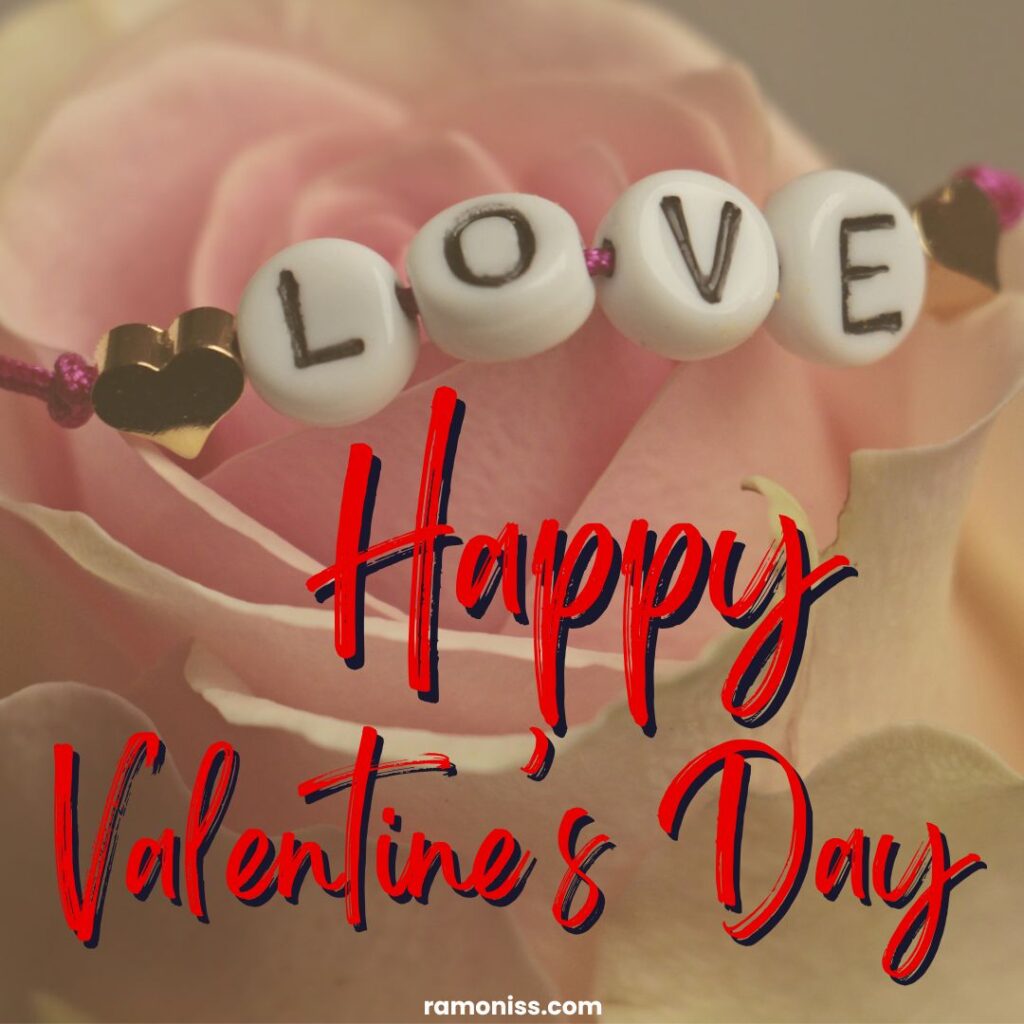 Love valentine's day rose flower feelings romantic