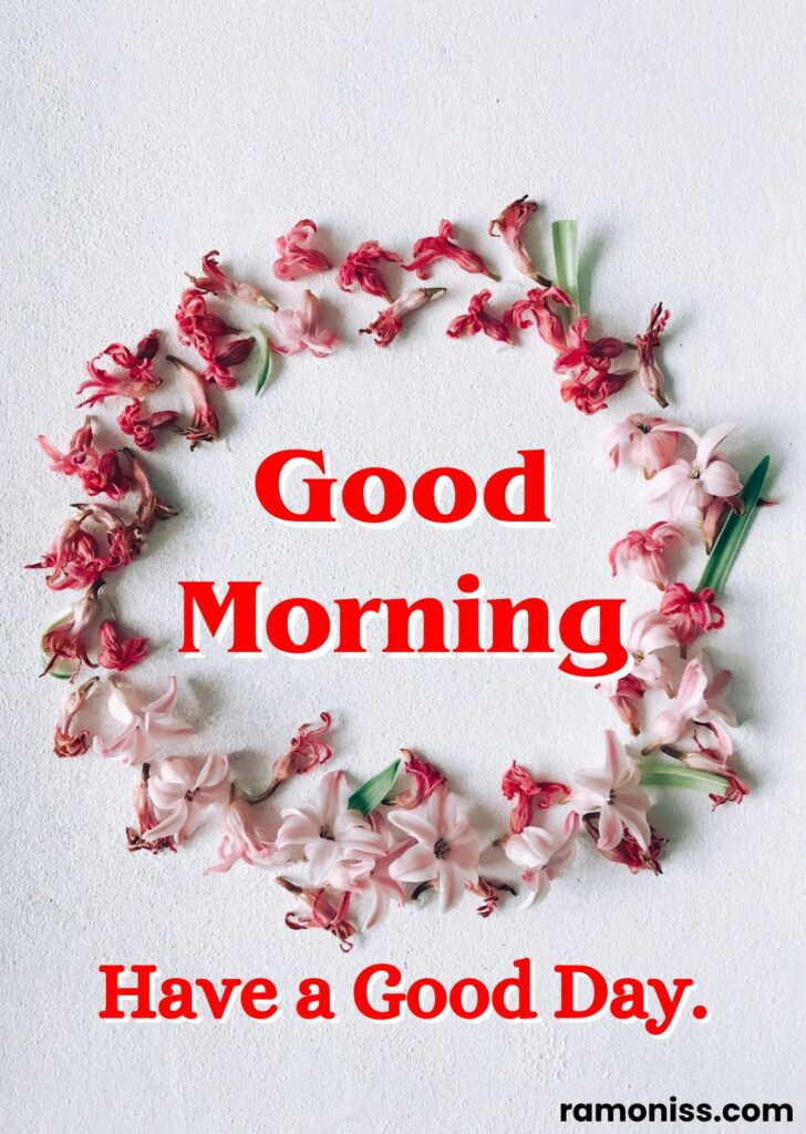 Red and pink flower wreath on the white background good morning flowers images.