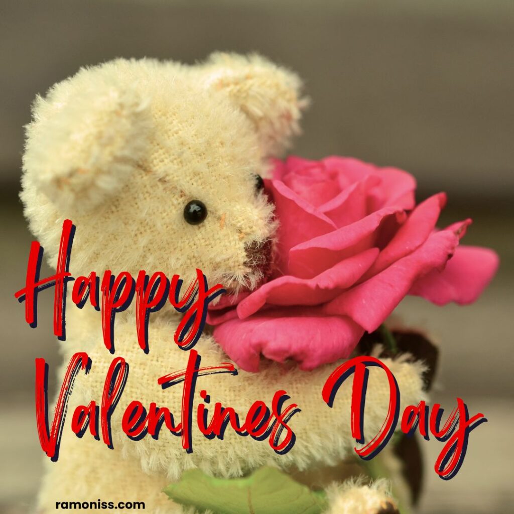 Teddy bear rose love romantic valentine's day image