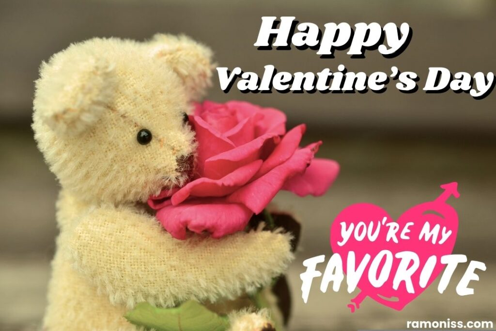 Teddy bear rose love romantic valentines day picture