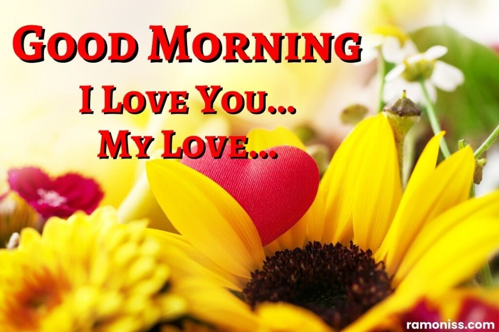 Sunflower red heart beautiful good morning images love for my girlfriend