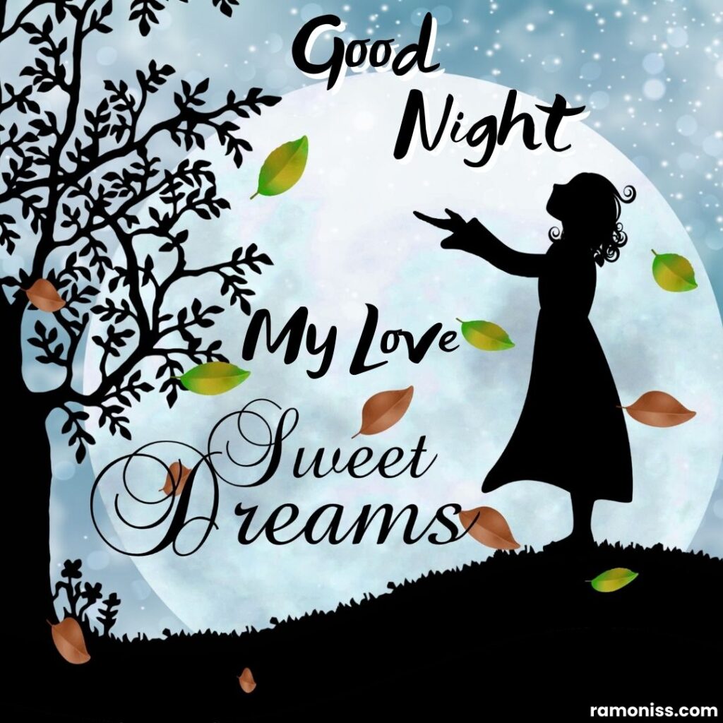 Wish dream good night sweet dreams images with love.
