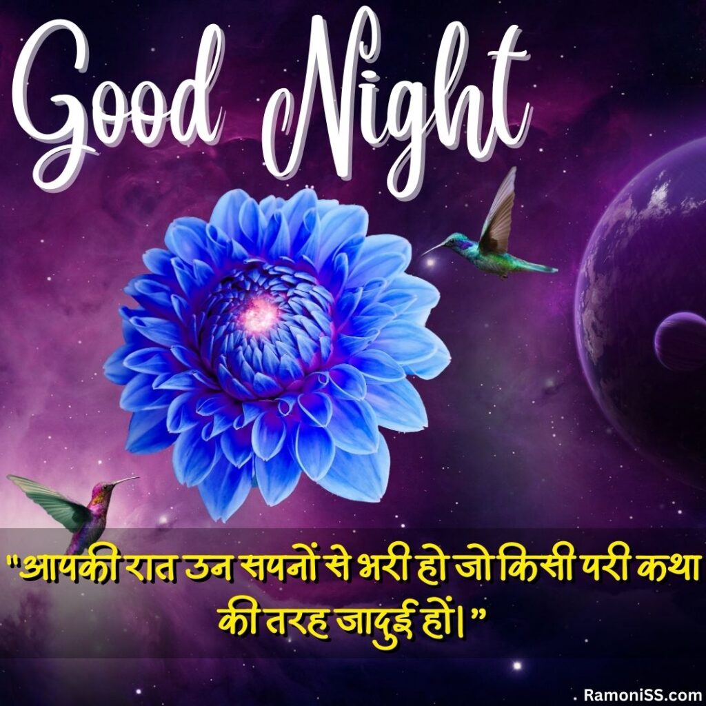 Dahlia flower humming birds and many stars in the sky lovely good night images with quotes in hindi for whatsapp.