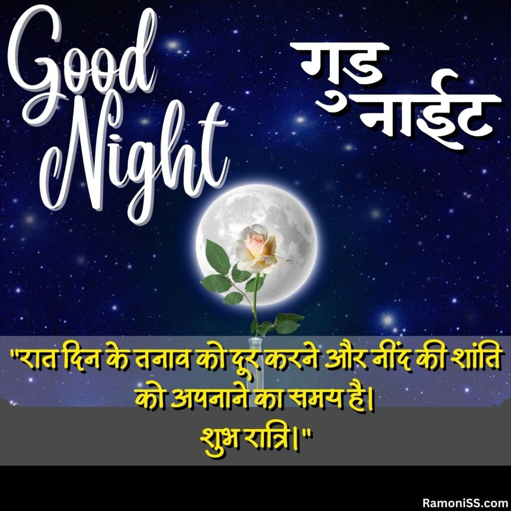 Moon and many stars in the sky and rose flower in the bottle placed on the black surface lovely good night images with quotes in hindi for whatsapp.