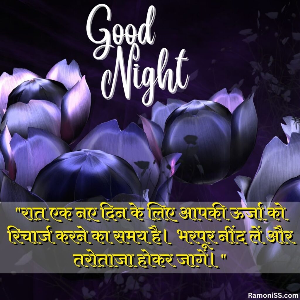 Purple flower petals lovely good night images with quotes in hindi for whatsapp.