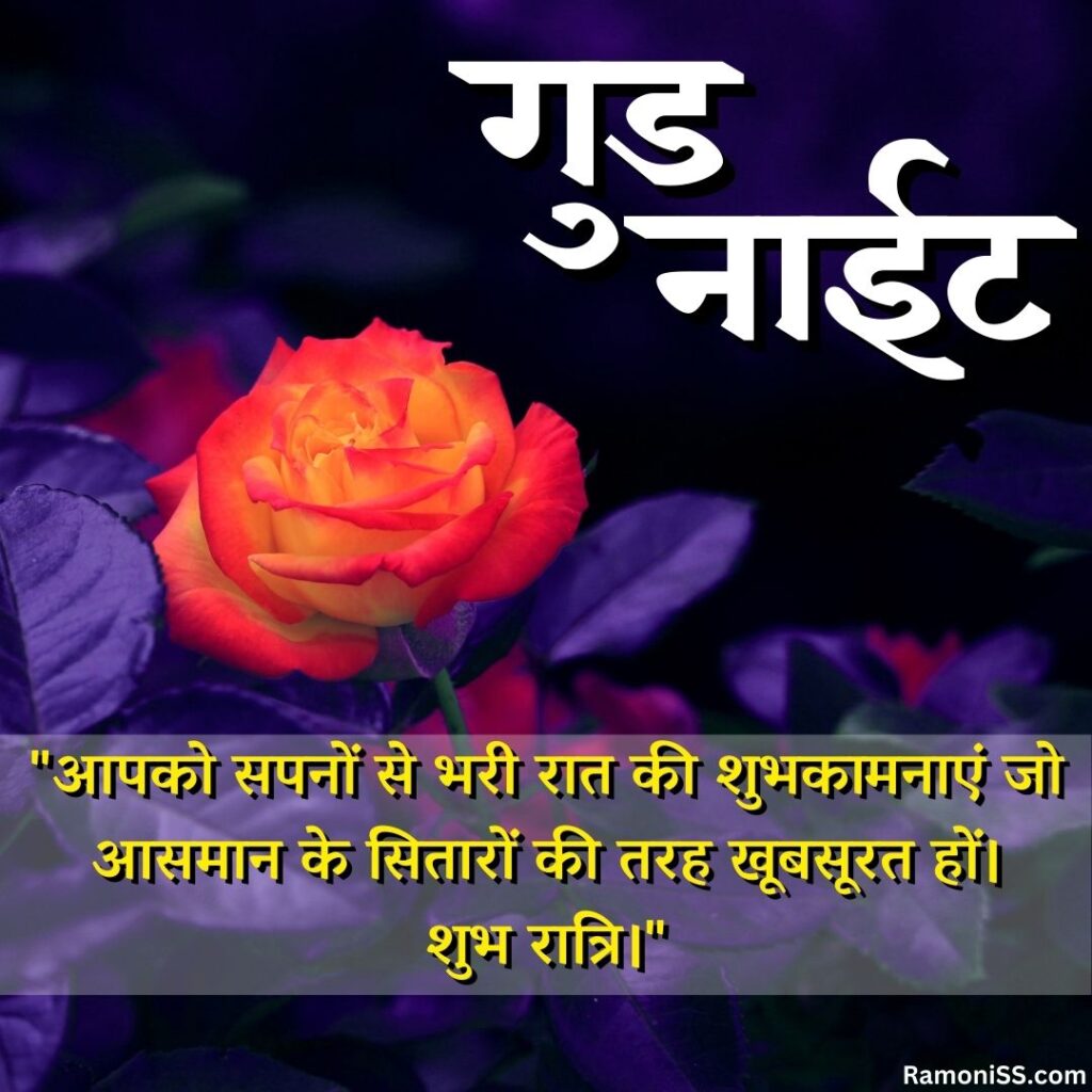 Red rose and purple flower petals in the garden lovely good night images with quotes in hindi for whatsapp.
