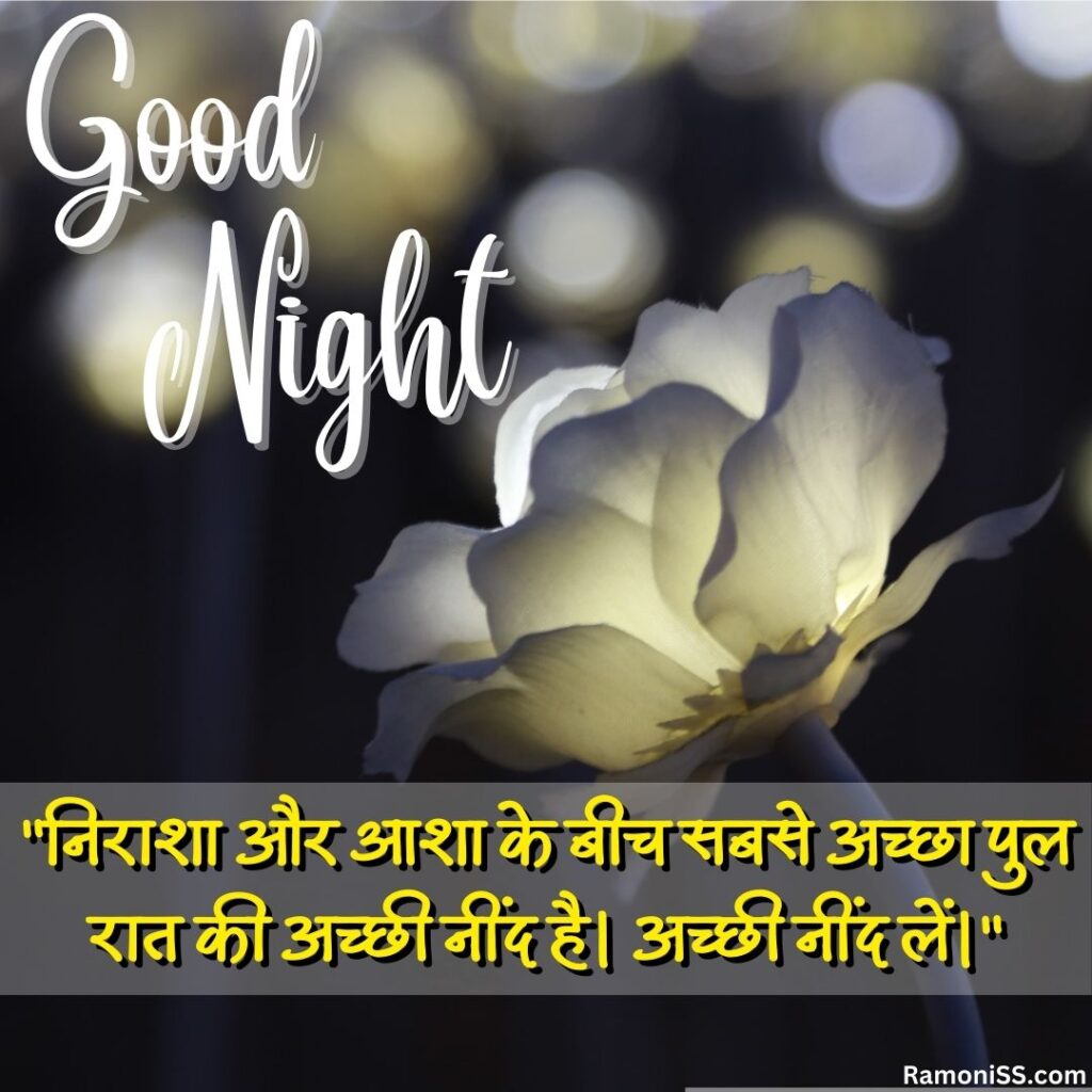 Rose light night flower lovely good night images with quotes in hindi for whatsapp.