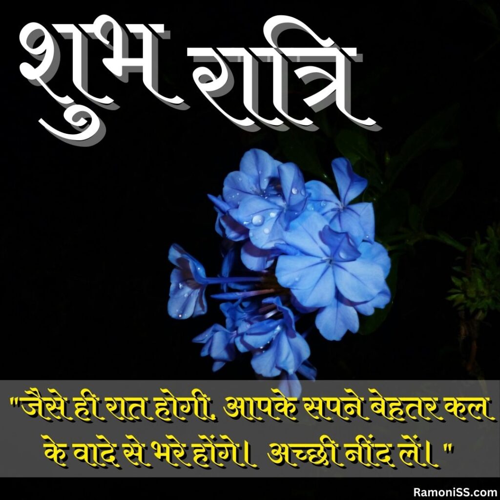 View of blooming purple flowers at night good night images with quotes in hindi for whatsapp.