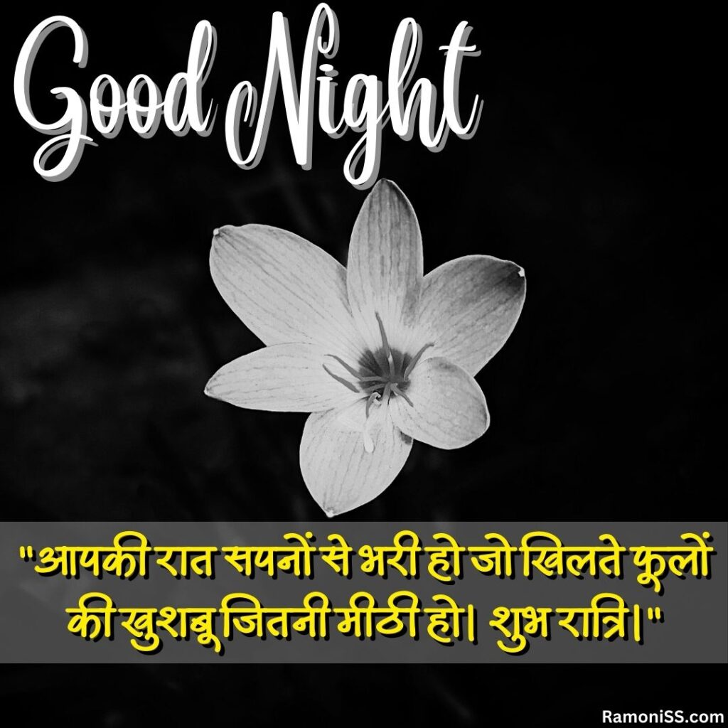 Blooming flower at night good night images with quotes in hindi for whatsapp.