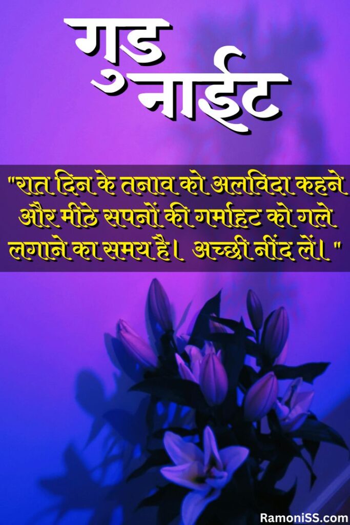Blooming lilies flower front of violet wall with shadow at night good night images with quotes in hindi for whatsapp.