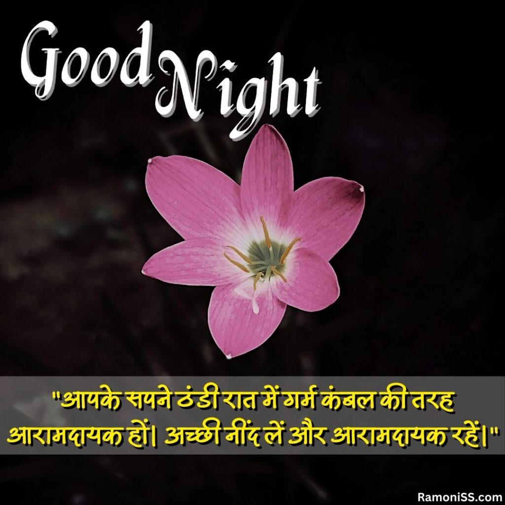 Flower growing in the night good night images with quotes for whatsapp.