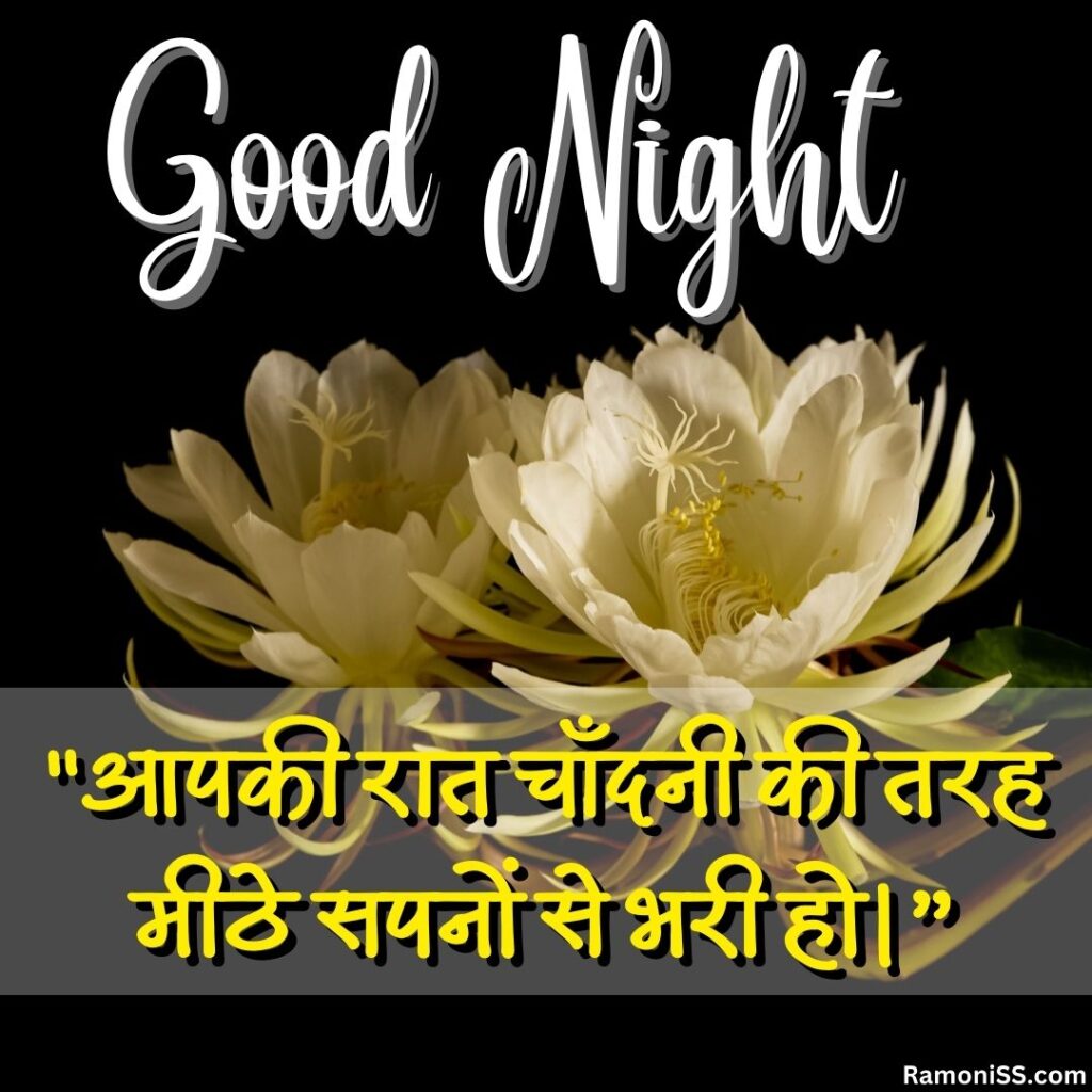 Night blooming flower of the queen of the night good night images with quotes in hindi for whatsapp.