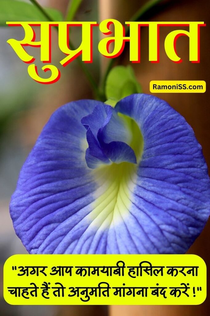 Beautiful blue flower good morning pic in hindi