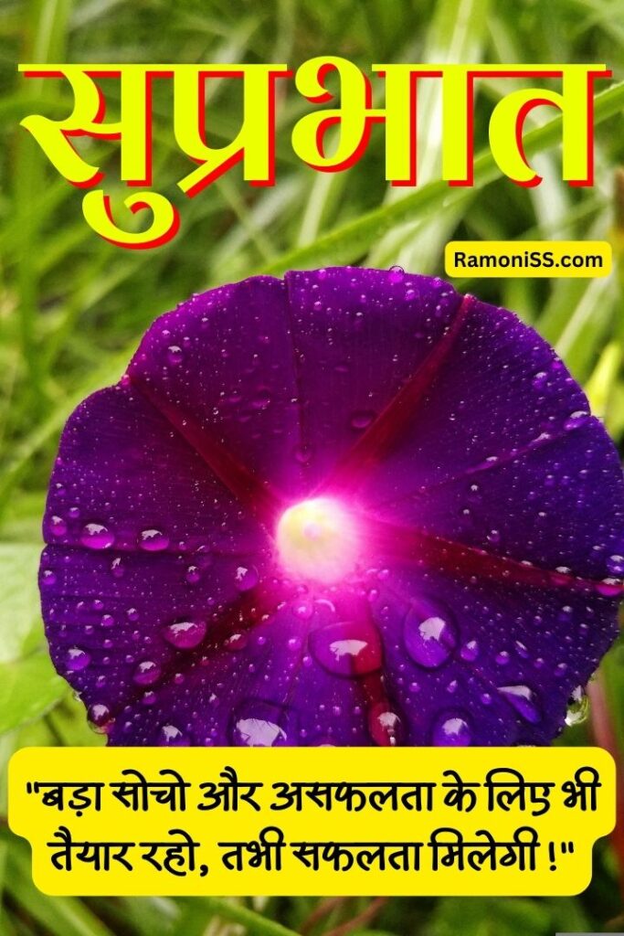 Beautiful dark purple flower good morning thoughts picture in hindi