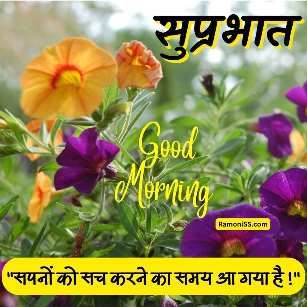 Beautiful flower good morning thoughts image in hindi