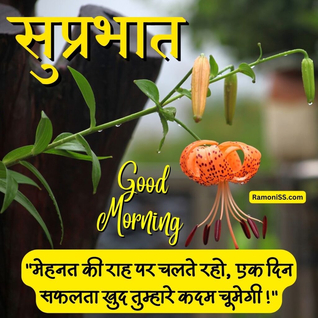 Beautiful orange flower good morning image in hindi