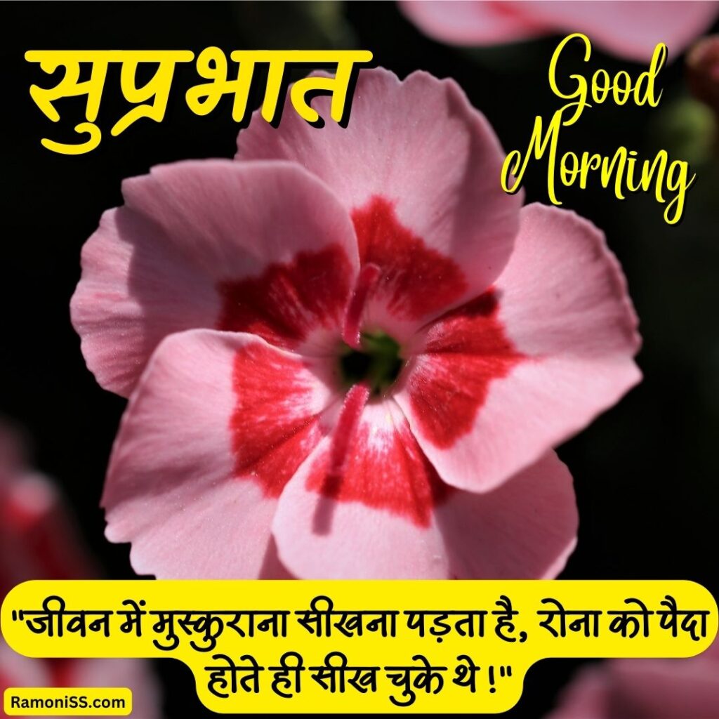 Beautiful pink and red flower good morning image in hindi