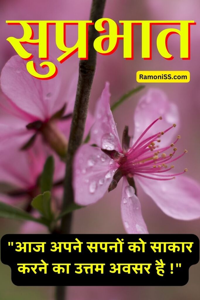 Beautiful pink flower suprabhat images in hindi