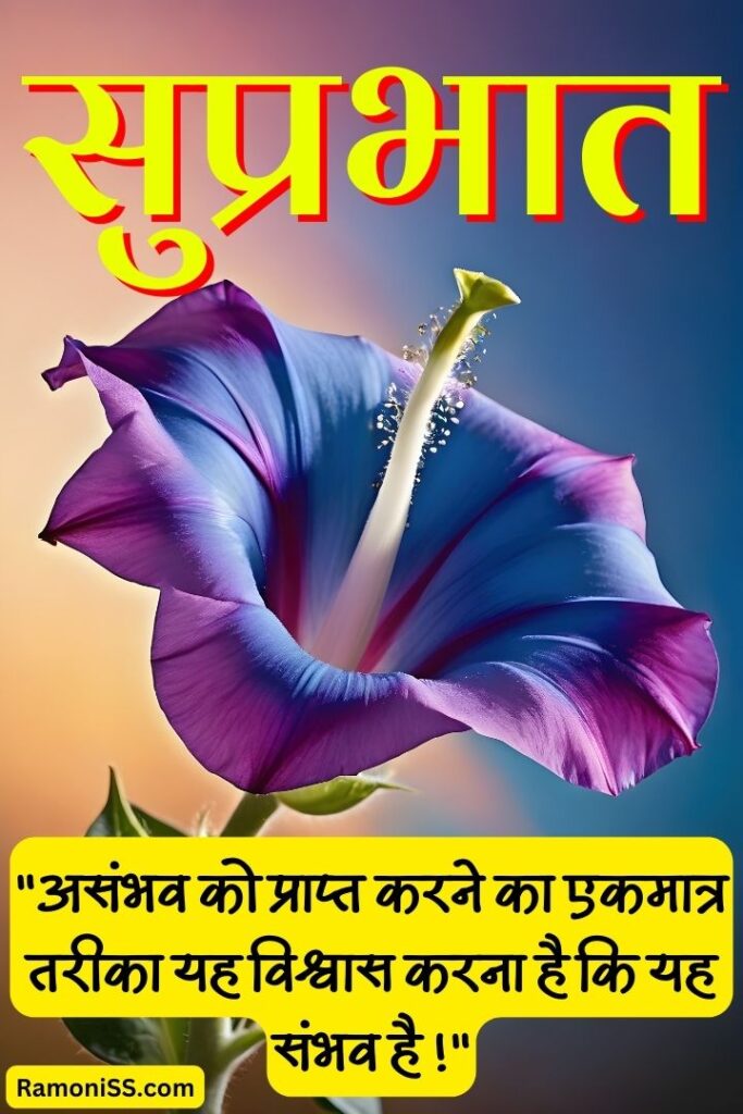 Beautiful purple flower suprabhat image in hindi