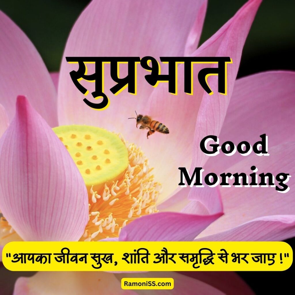 Flower bee good morning suprabhat image in hindi