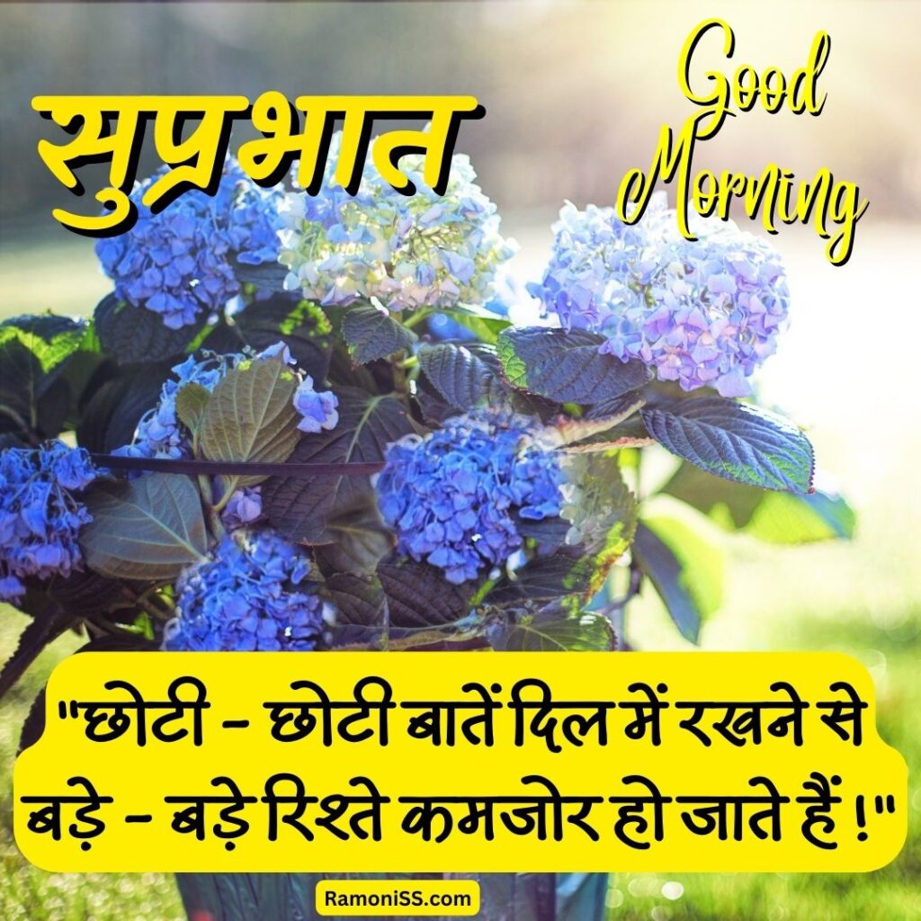 Flower pot good morning thoughts in hindi