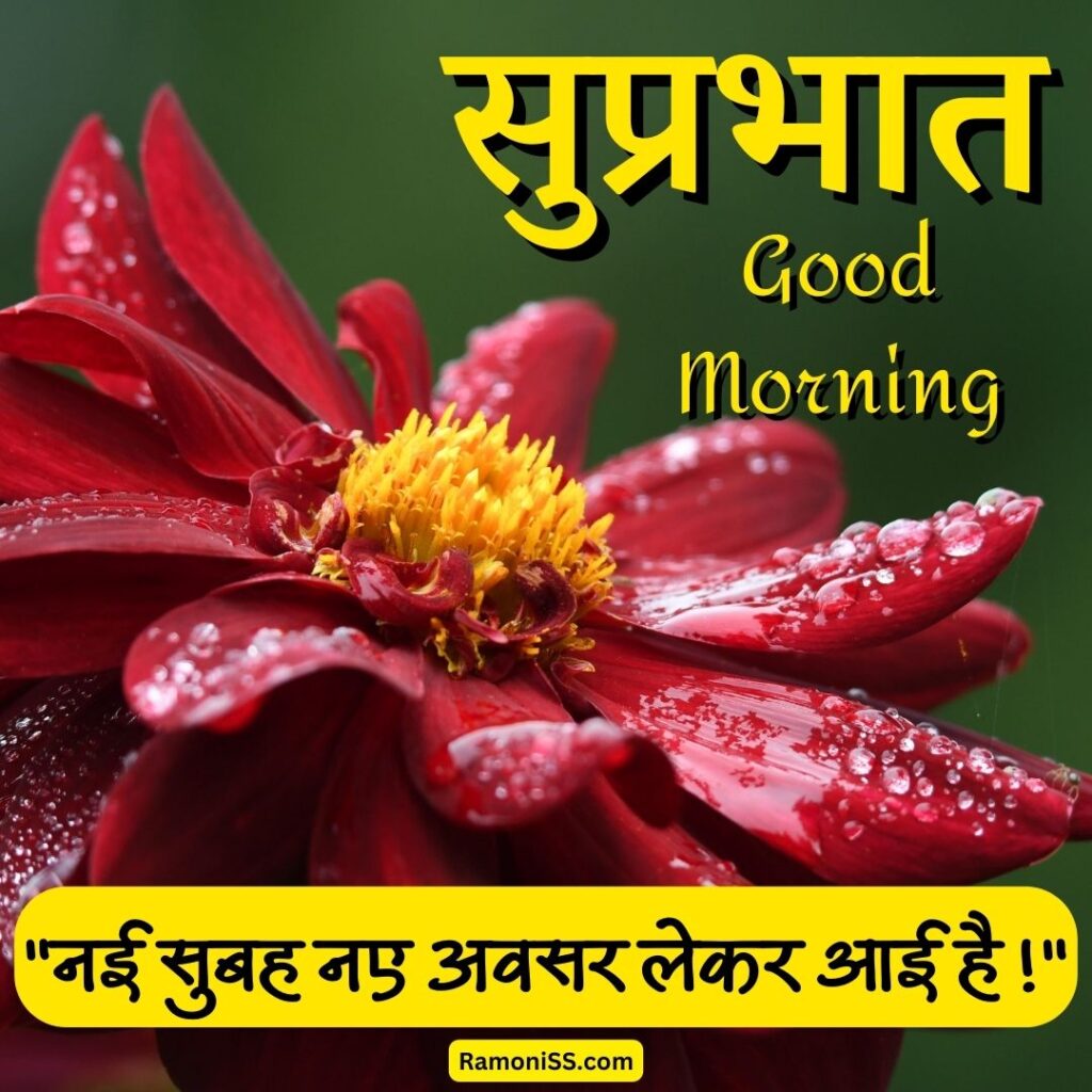 Morning suprabhat suvichar image in hindi