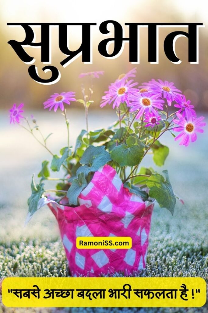 Paper flower pot placed on the grass surface with the beautiful flowers good morning suvichar images in hindi